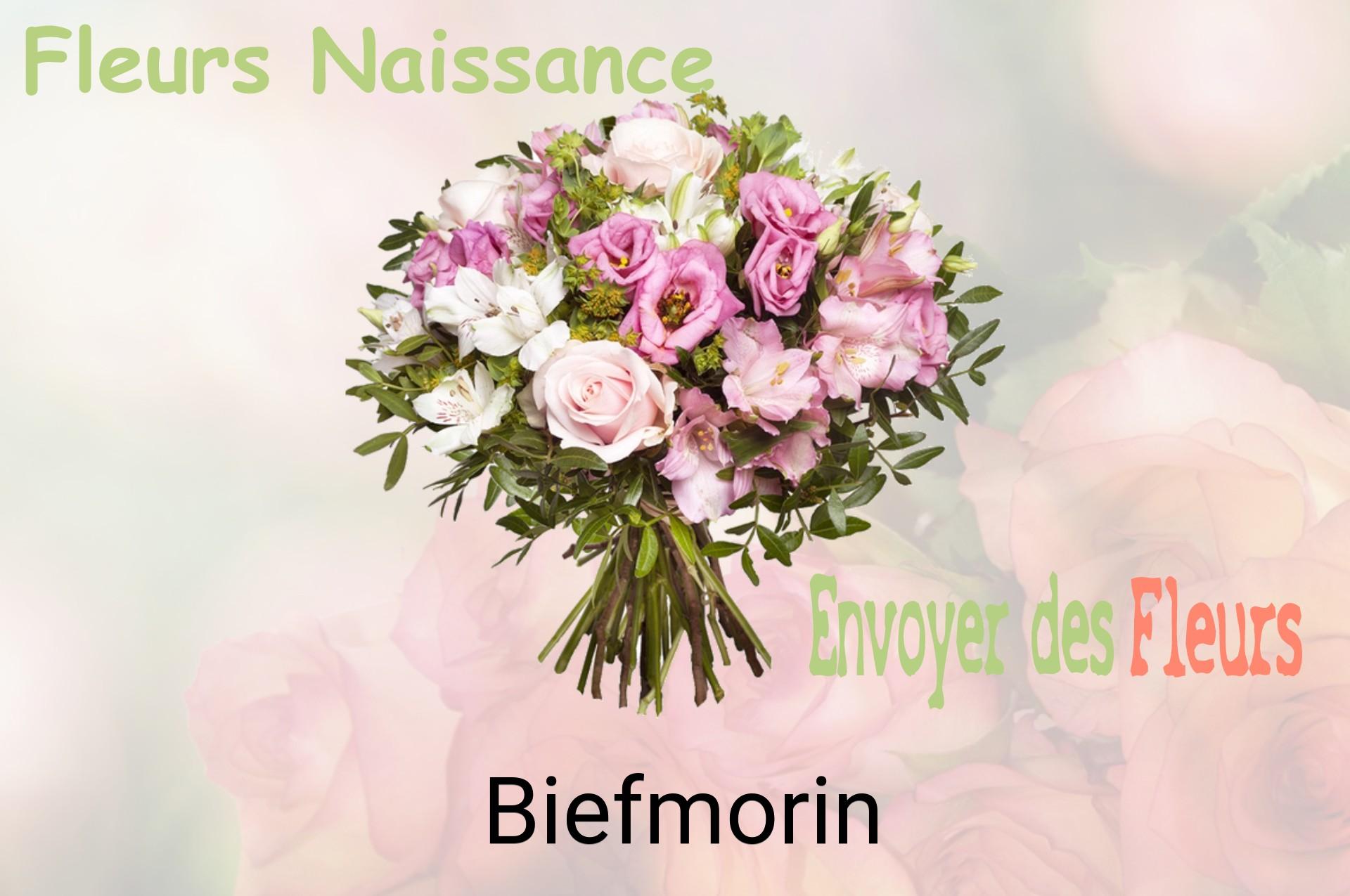 Bouquet de fleurs de naissance livré à Biefmorin