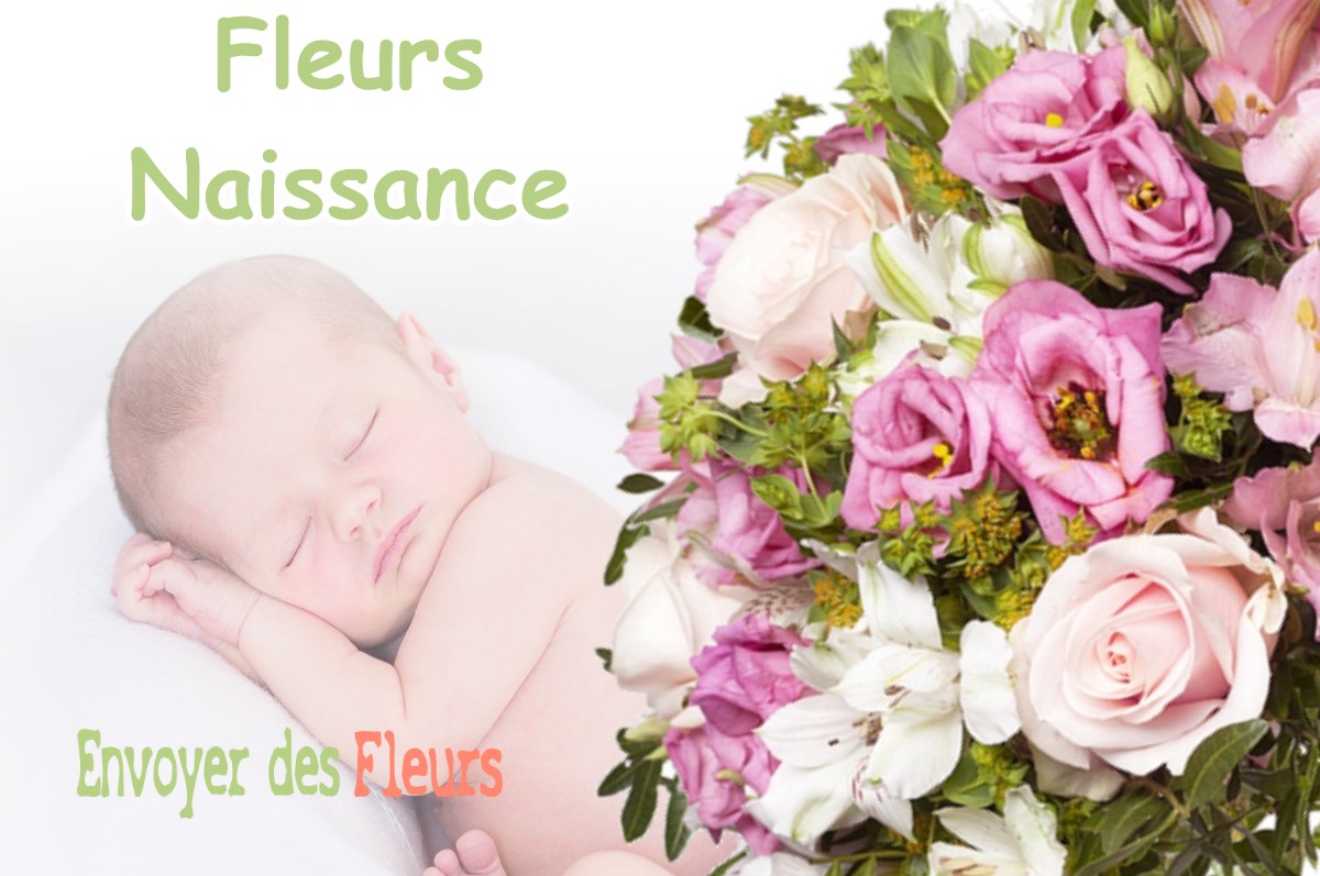 lIVRAISON FLEURS NAISSANCE à BIEFMORIN